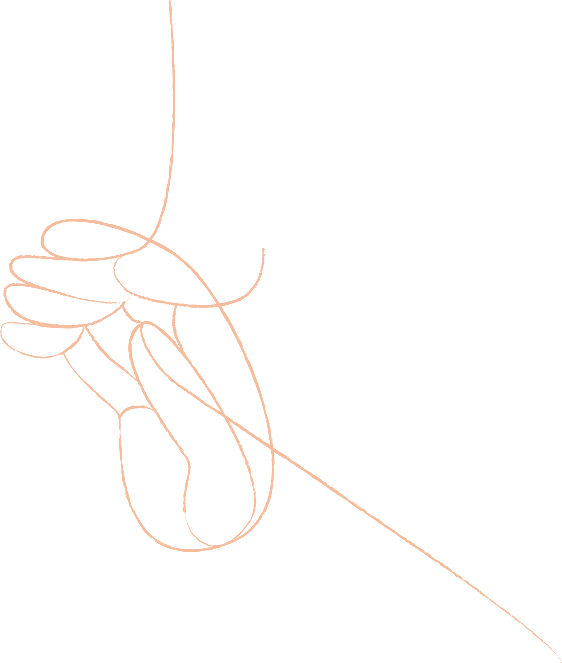 Ilustração floral